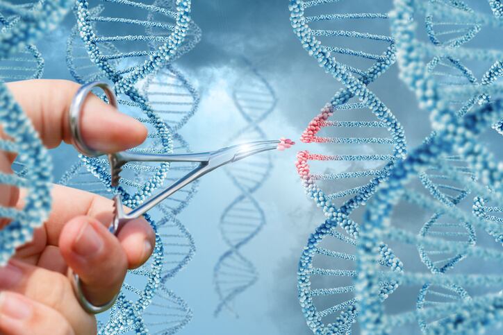Is-gene-editing-doomed-to-the-same-fate-as-GMOs-Coalition-offers-alternative-path-to-public-trust.jpg
