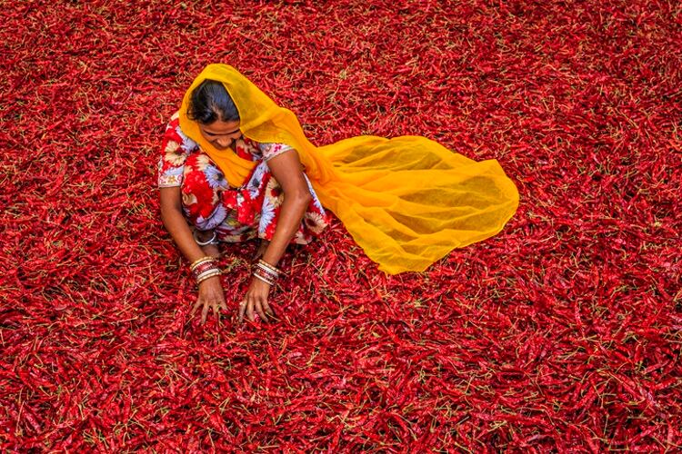 Eggs and India: Visitors invited on a unique taste journey with Mane