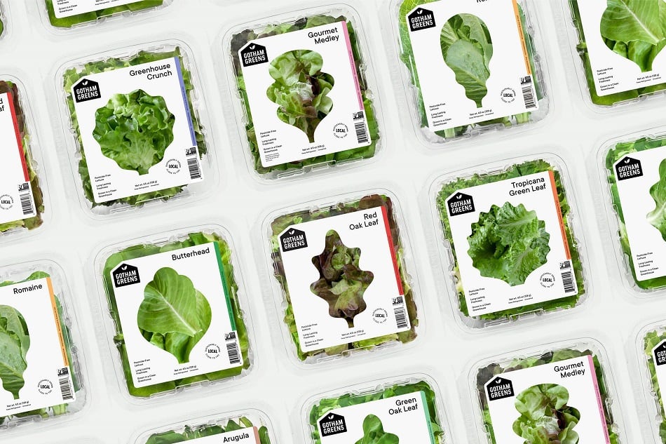 Gotham Greens opens its largest greenhouse in Chicago, doubling Midwest supply of leafy greens
