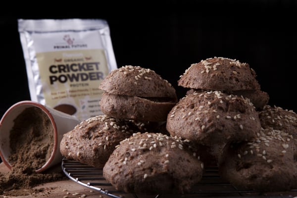ValuSect project supports market development of insect-based foods: ‘A sustainable solution to feed the world’