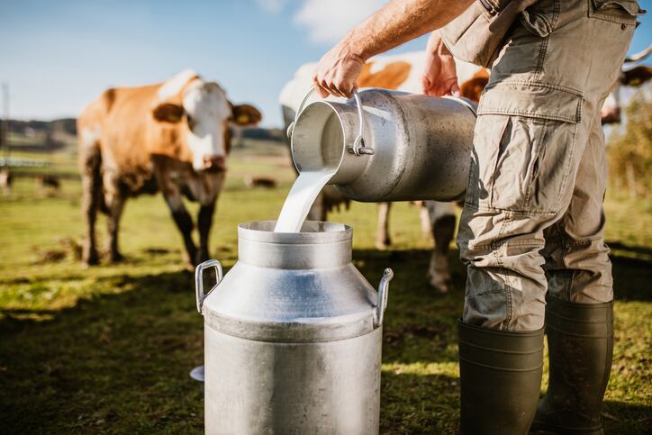 Panel finding Canada violated USMC trade agreement could open door for more US dairy exports north
