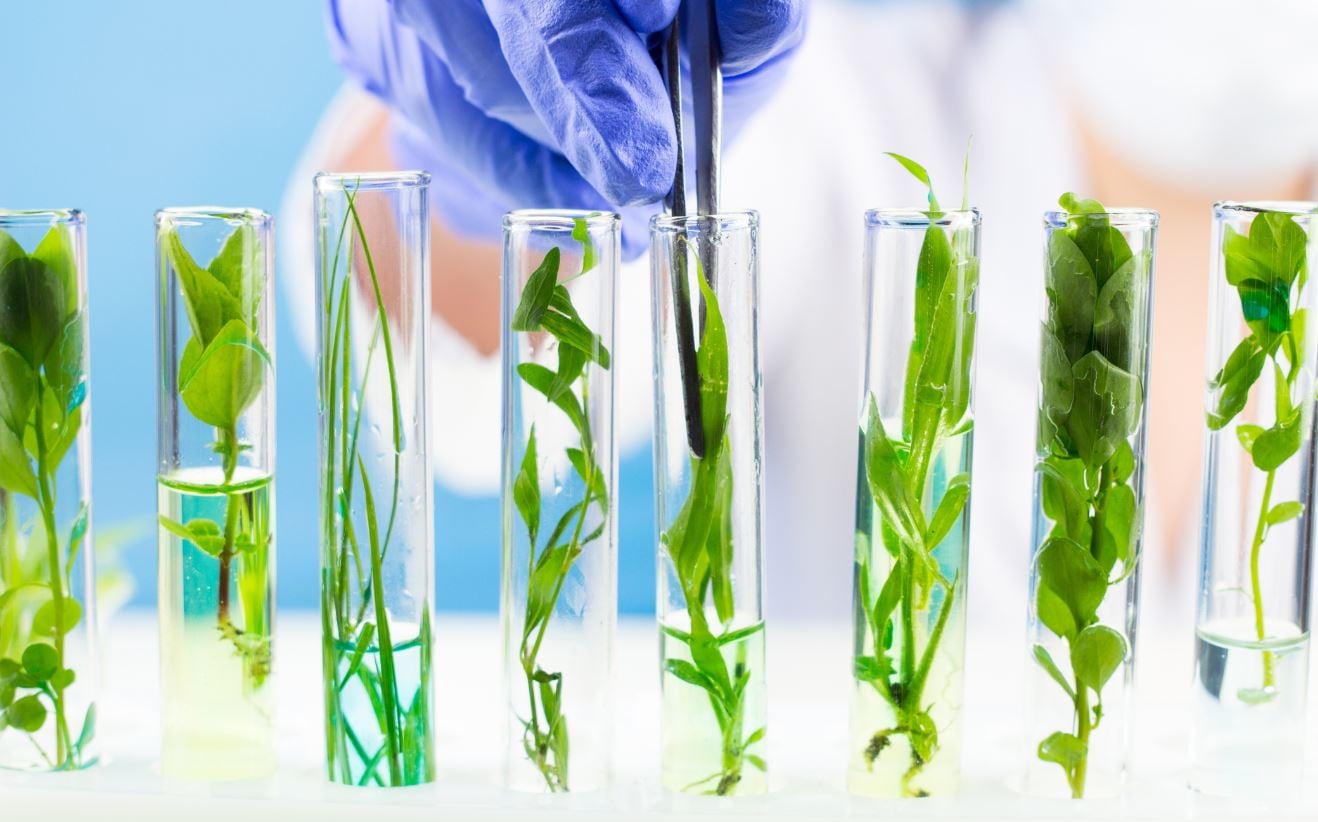How food tech start-ups can attract investors and thrive