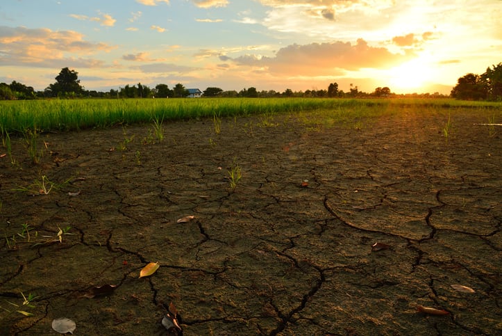 New database Latis from HowGood helps brands measure, improve their environmental impact