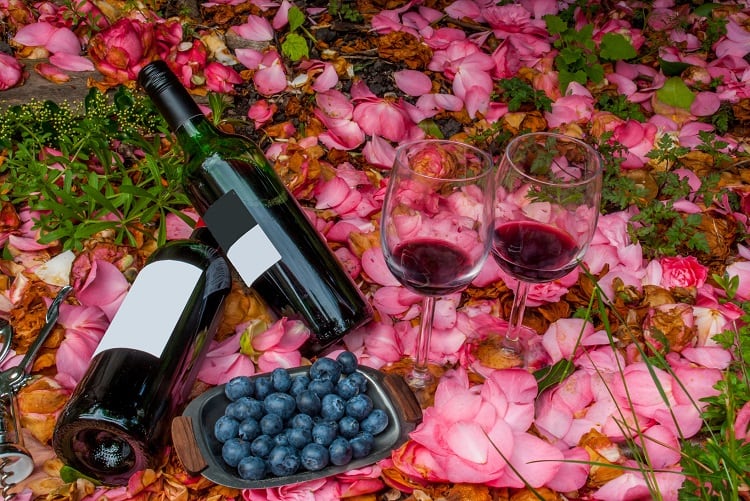 Making wine from… blueberries?