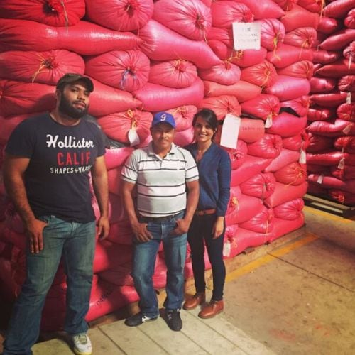 coffee-bags-vega.jpg