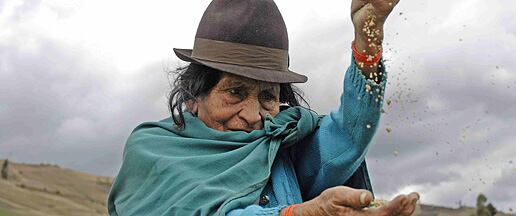 Fairtrade-International.jpg