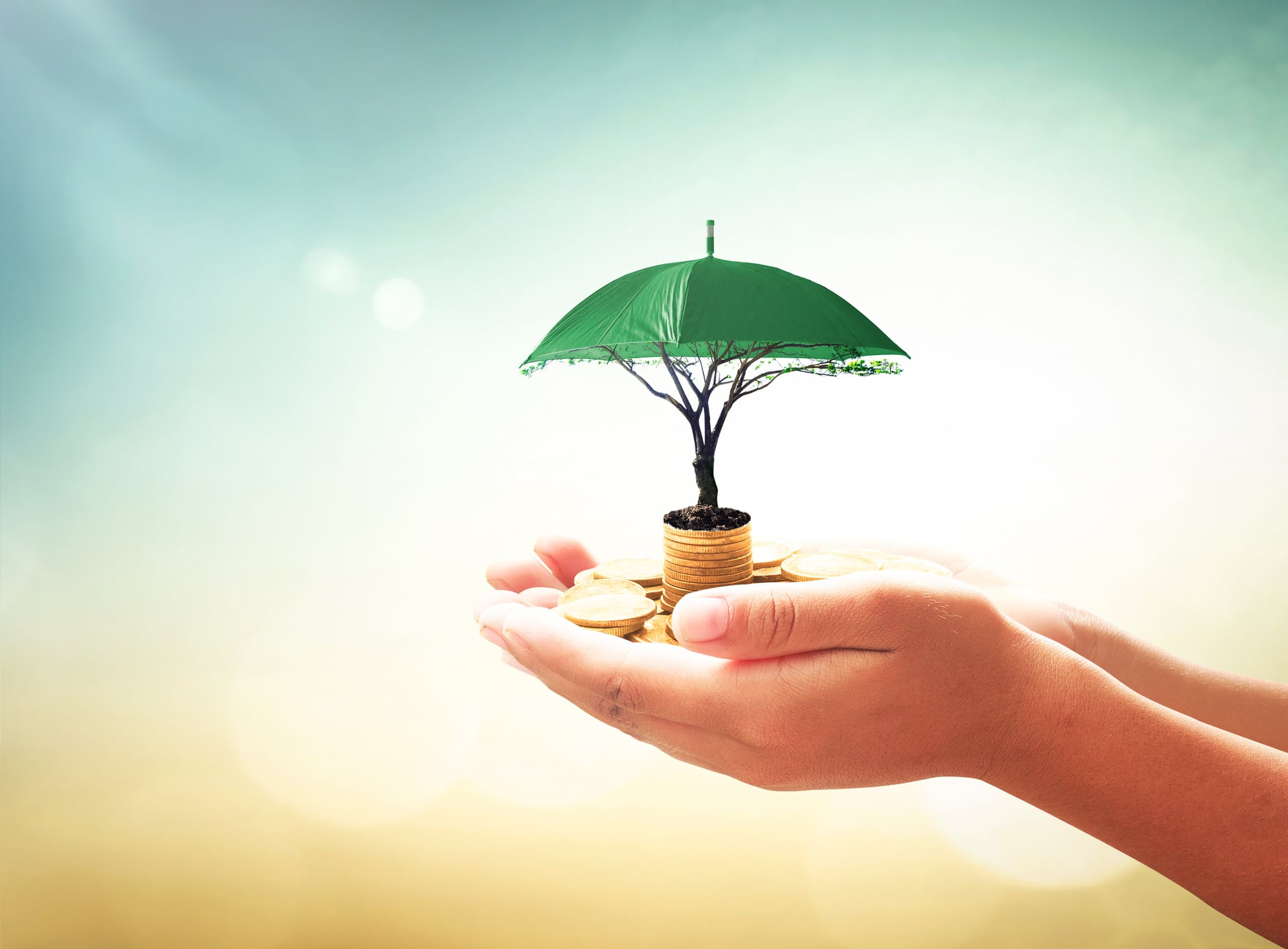 Developing-achievable-ESG-strategies-for-the-betterment-of-the-planet.jpg