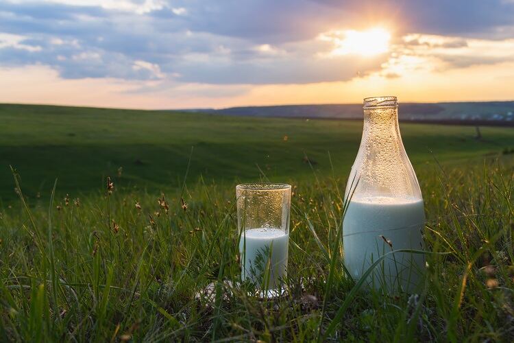 dairy-IgorBukhlin.jpg