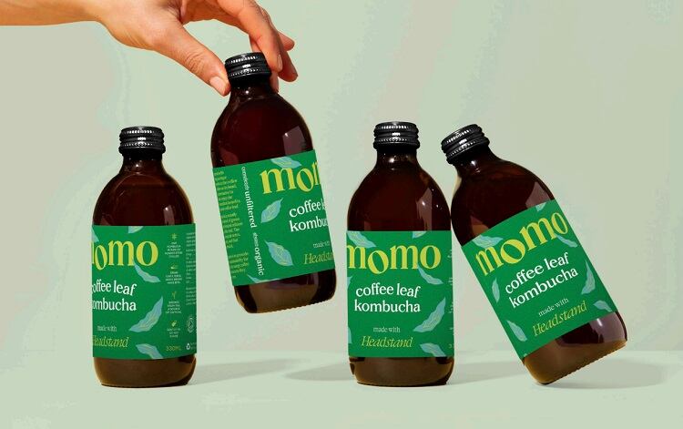 Momo releases coffee leaf kombucha