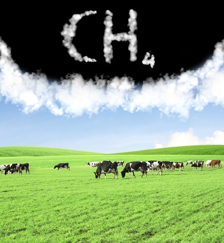 methane-frentusha.jpg