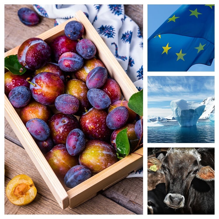 EDC policy under fire, General Food Law backed by ENVI, and MEPs address animal protection laws: A round-up of EU news & views