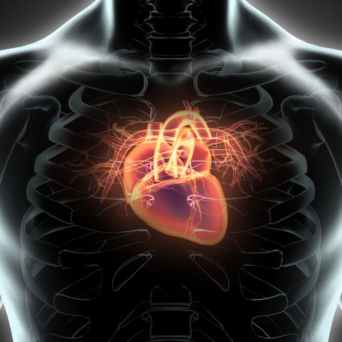 Cardiovascular disease and nutrition: Almost half deaths in Europe ‘preventable’