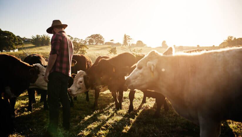 USDA-concludes-final-round-of-funding-to-boost-farmer-support-lower-grocery-prices.jpg