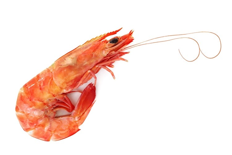 Best Innovation Award: Hilton Seafood UK