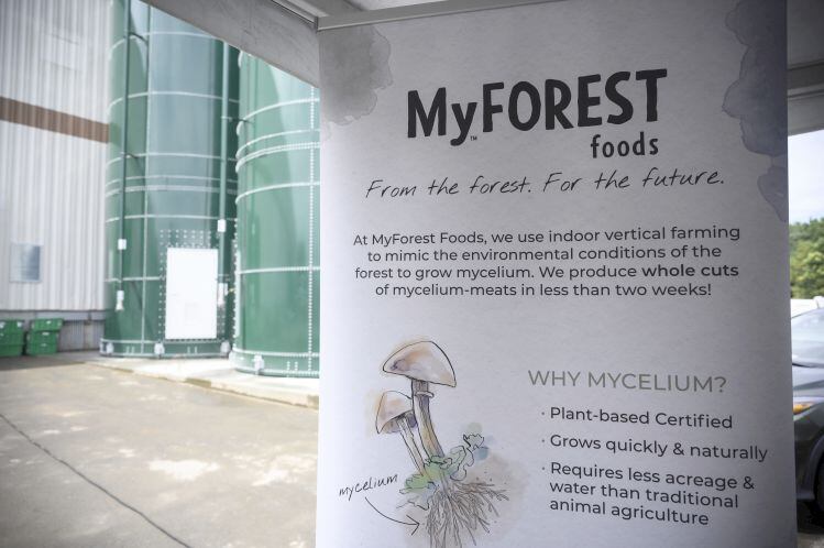 There-s-more-than-one-way-to-make-meat-from-mycelium-says-MyForest-CEO-What-we-re-doing-is-far-cheaper-than-building-fermenters.jpg