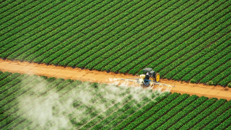 Japan rice crisis: Thailand spots exports opportunity on back of bumper production