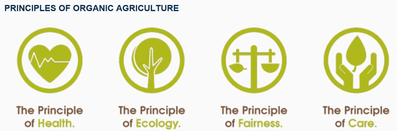 Org-principles.jpg