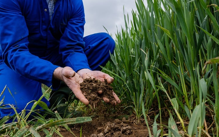 Counting the cost of biodiversity loss