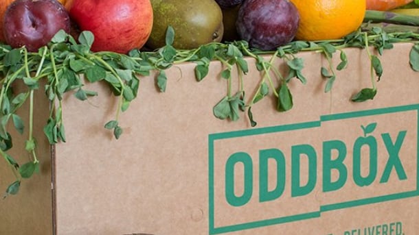 OddBox on delivering cheap, ethical produce and combatting food waste: ‘You don’t have to choose between your conscience and your wallet’