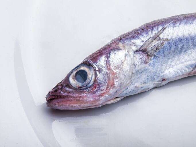 Eating fish may lower risk of bowel cancer: study