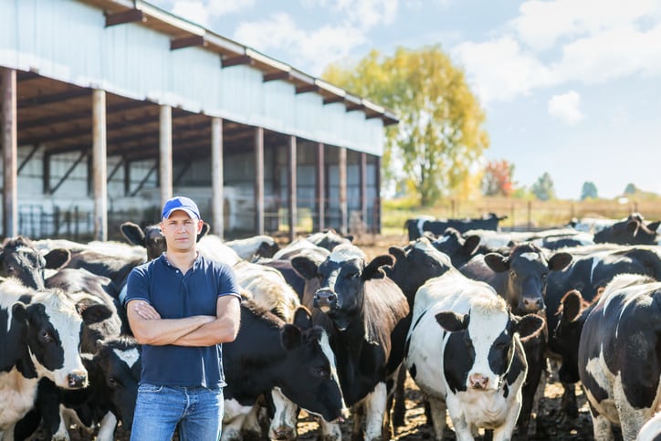 dairy-farmer-Droits-d-auteur-jenoche.jpg