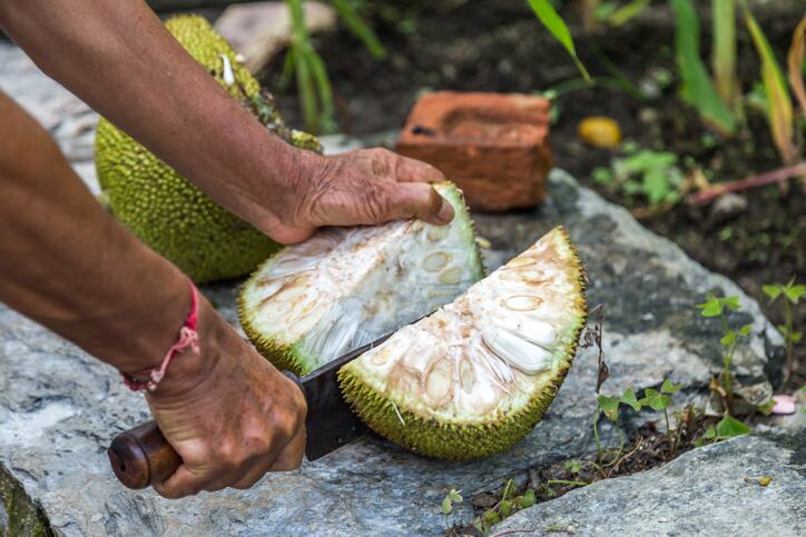 jackfruit-greenaperture.jpg