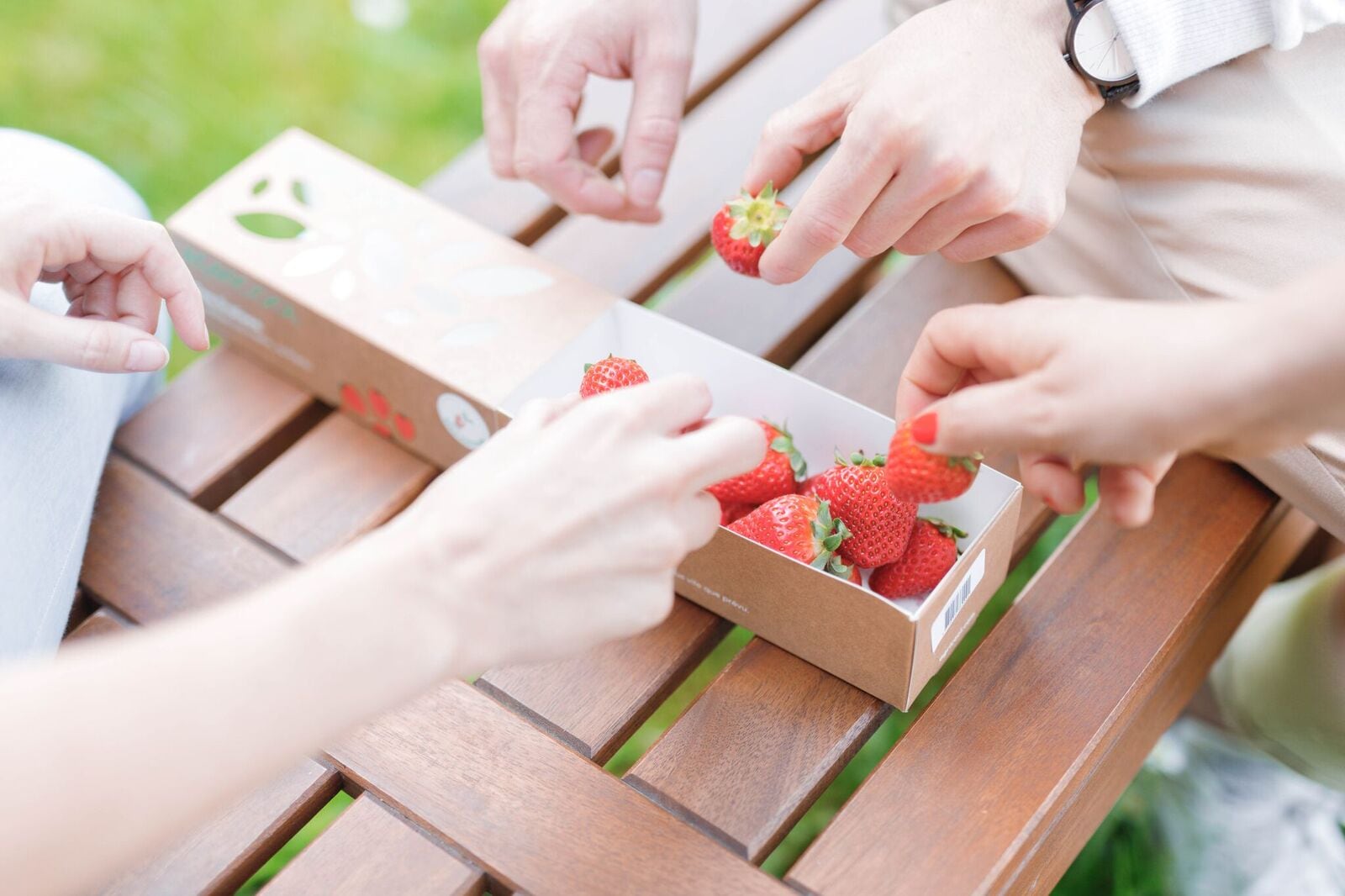 ‘Urban farming is becoming a reality’: Agricool completes €25m funding round