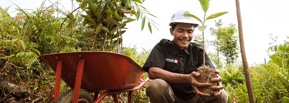 Palm-oil-Why-shared-responsibility-is-needed-to-cement-sustainability-improvements.jpg