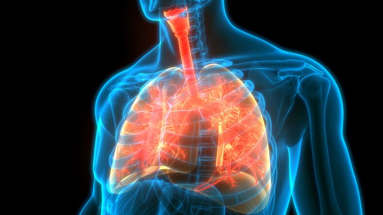 Gut health evolution ‘could extend to lungs to reinvigorate demand for probiotics’