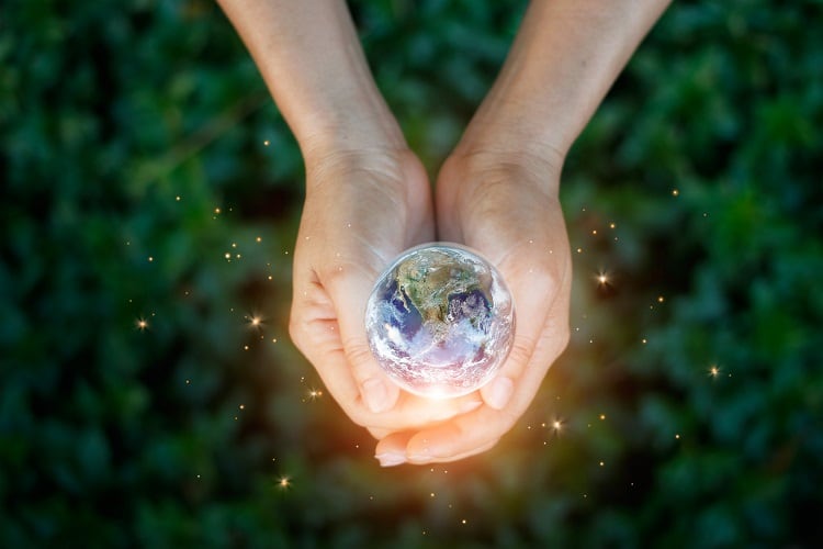 Defining a sustainable food system: 'Apathy is not the solution' 
