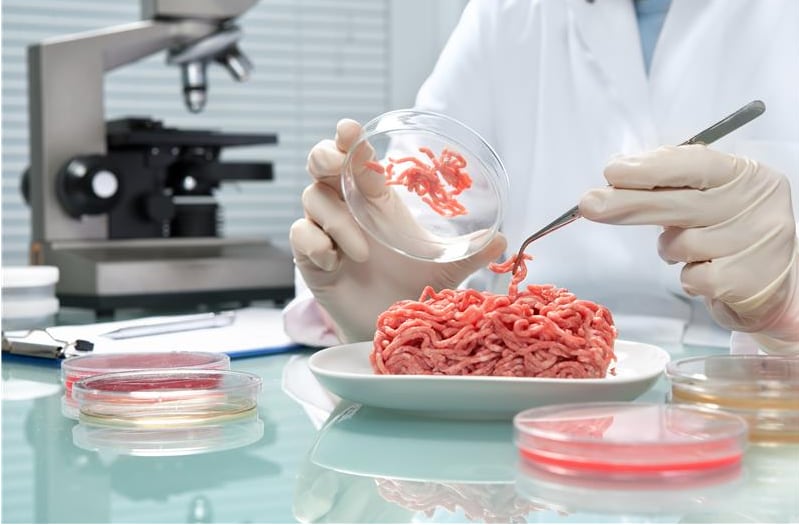 e.coli-Yadira-Tejeda-2.png