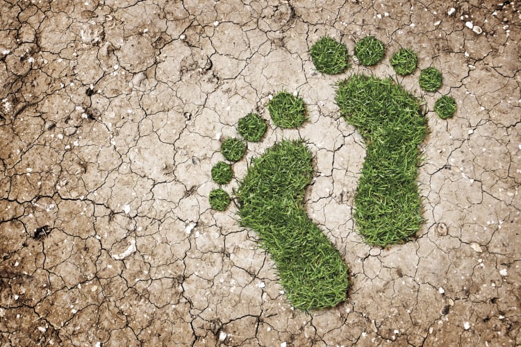 Anti-greenwashing project launches for UK food and drink sector