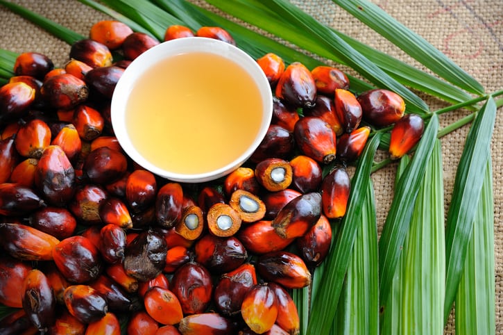 Kellogg removes sustainable palm oil credits in effort to improve supply chain transparency
