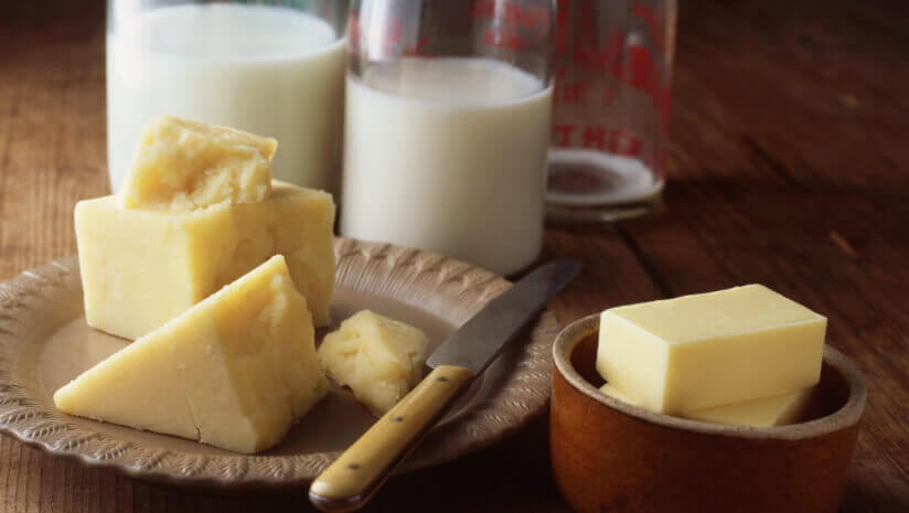 Innovations-in-animal-free-casein-drive-dairy-alternatives.jpg