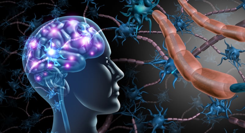 Polyphenols for the mind: review stresses “urgent need for more precise microbiome sequencing”