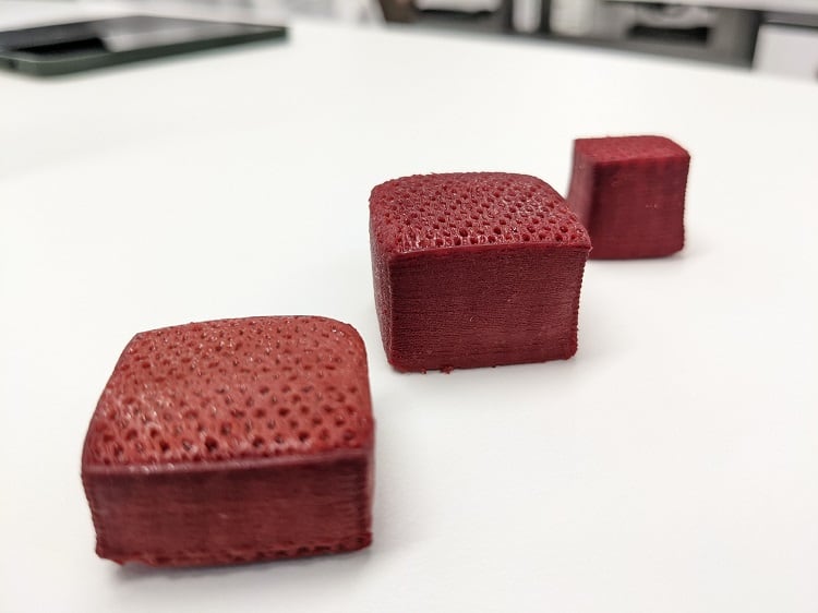 ‘World’s biggest’ piece of cell-based whole cut analogue developed: ‘Meatballs, burgers and nuggets have already been done’