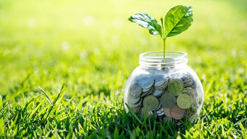 Funding 'massive impact': Plant-based, cell-cultured and fermentation tech sectors to benefit from new APAC fund