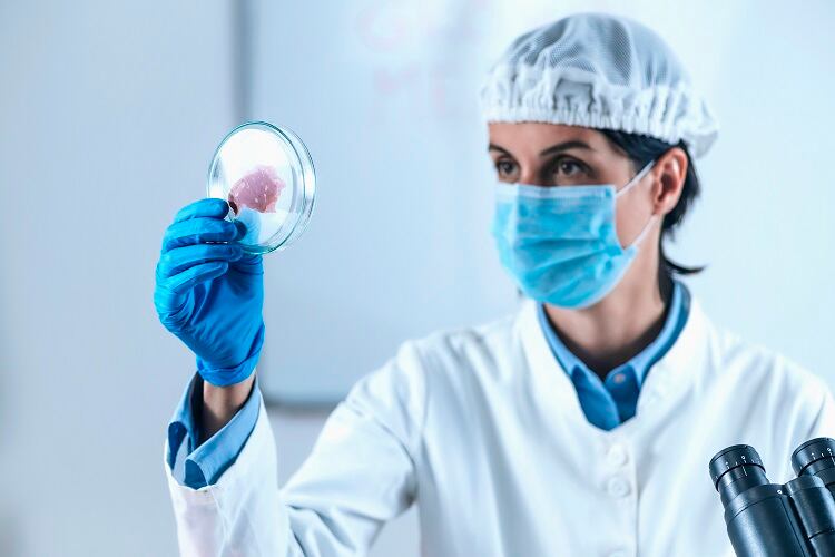 Dissecting cultivated meat regulation part 2: What’s working in the US and Singapore, and what’s not?