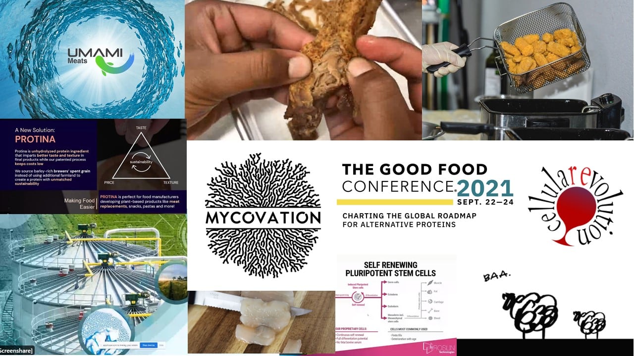 GALLERY: Alternative protein startups to watch at the GFI Good Food Conference 
