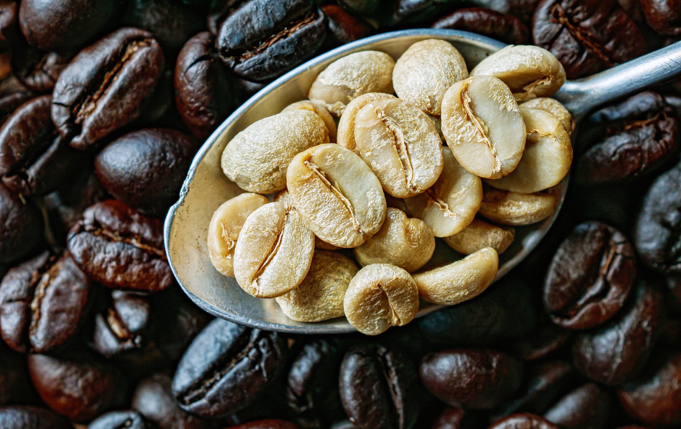 Top view green coffee bean on a stainless steel spoon on roasted coffee bean  background, Close-up, Close-up of unroasted coffee bean