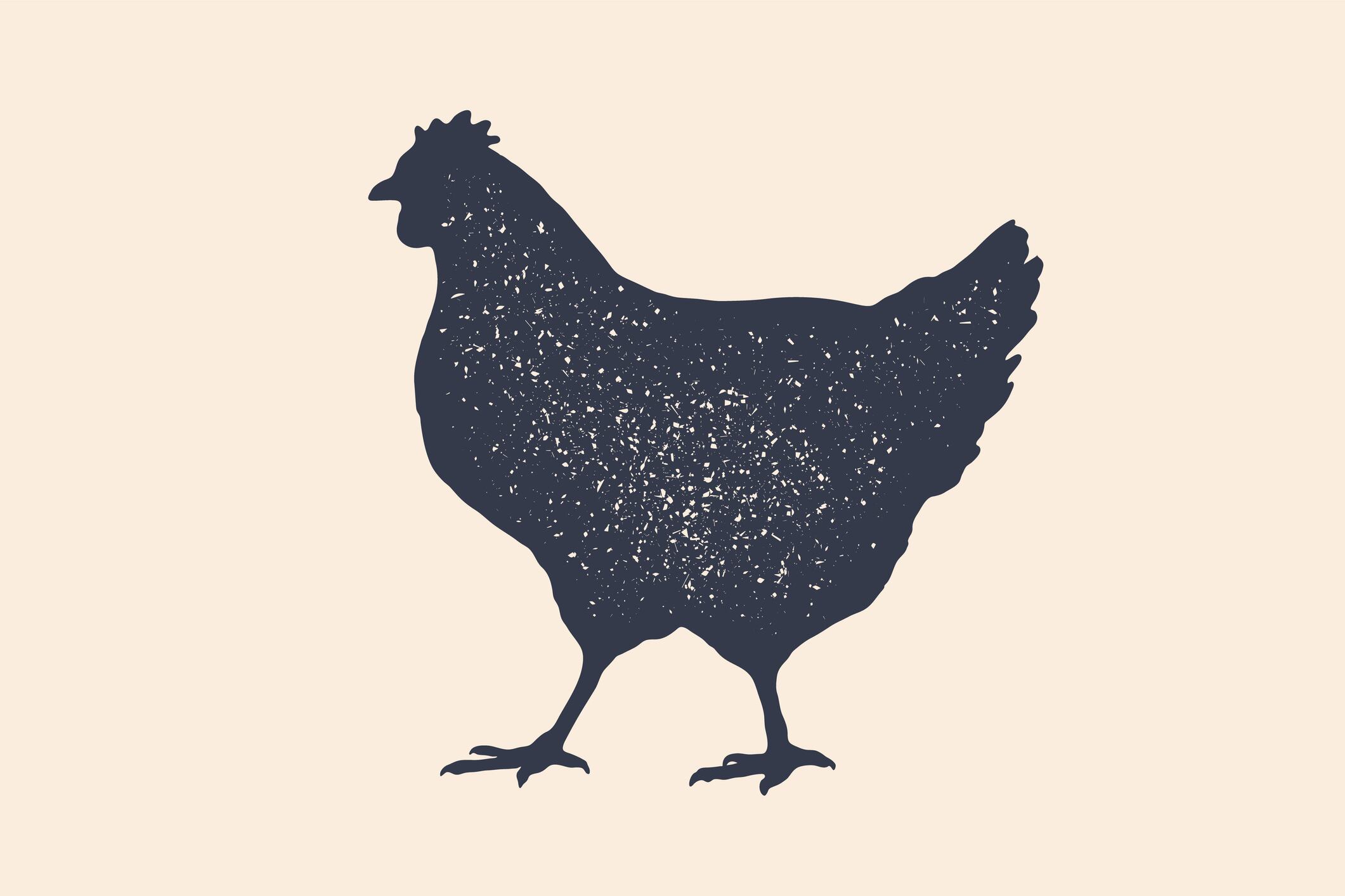 Hen, chicken. Vintage logo, retro print, poster for Butchery meat shop, hen silhouette. Logo template for meat business, meat shop. Isolated black silhouette hen, white background. Vector Illustration