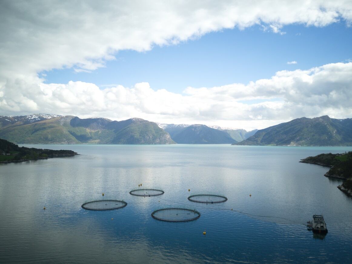 Blockchain_Sjoematbedriftene_pic_beddjupeleget3-fish-farming.jpg