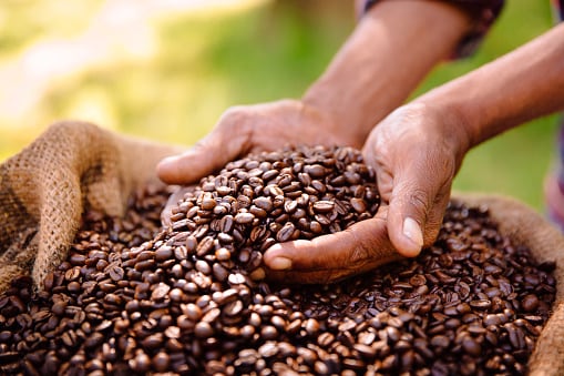 Coffee with respect: Nestle aims to maximise Malaysian sector potential via NESCAFE sustainability strategy