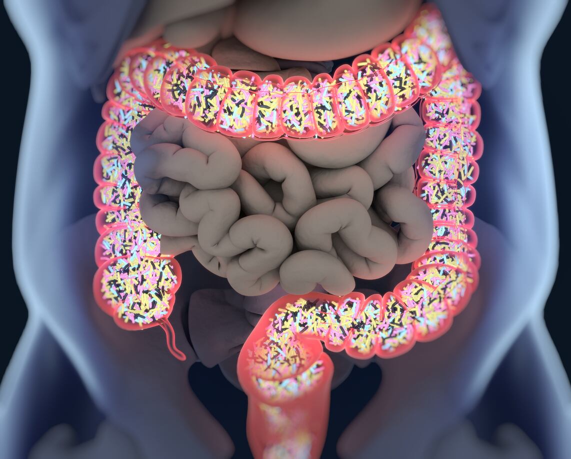 Gut-microbiota-Probiotics-C-iStock-ChrisChrisW.jpg