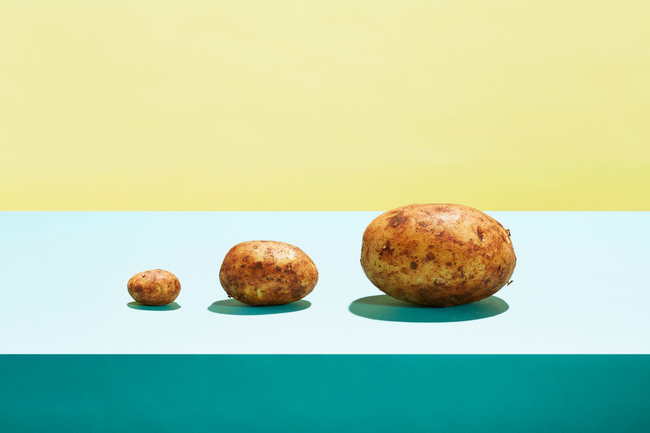 Potato protein market to grow as demand for health increases 