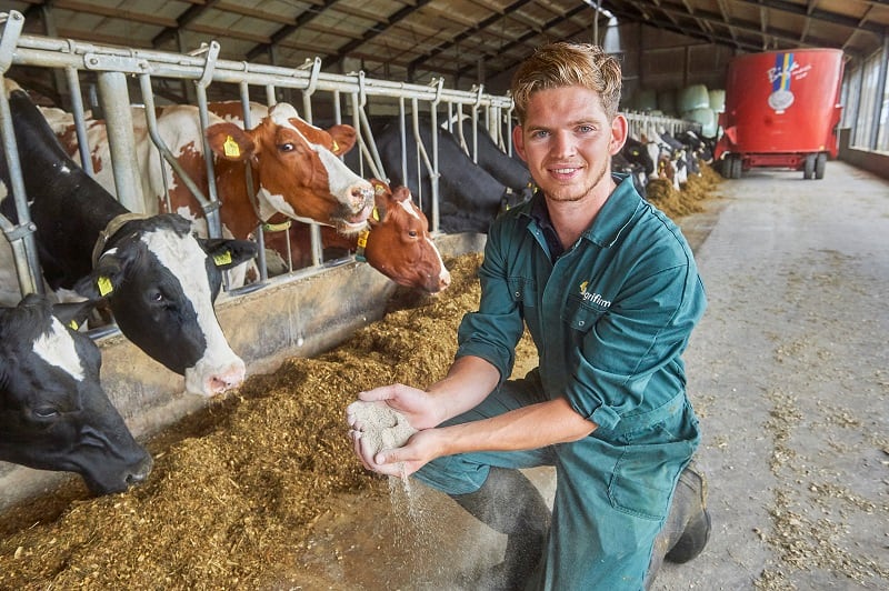 ‘Game-changing’ feed additive pilot yields positive results