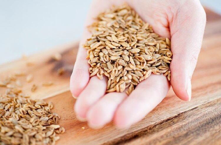 Nutritionally-superior-non-GMO-barley-rolled-out-on-European-market.jpg