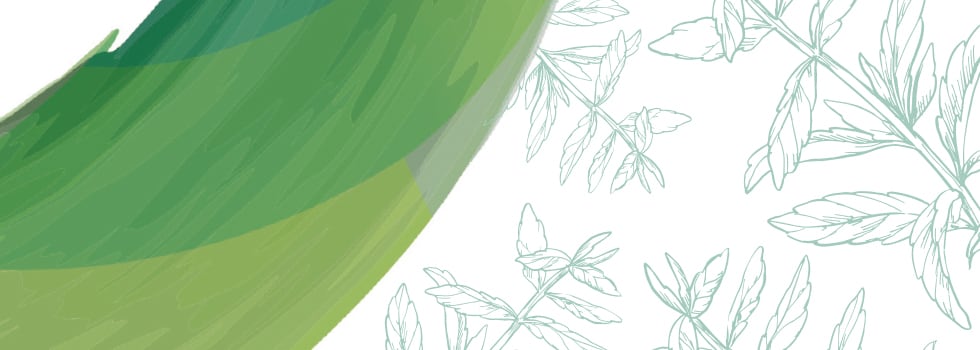 Stevial-Creating-a-short-European-supply-chain-to-meet-demand-for-healthy-natural-sweeteners.jpg