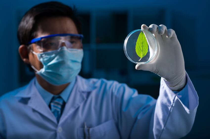 GM crops ‘will need to be part of the solution’