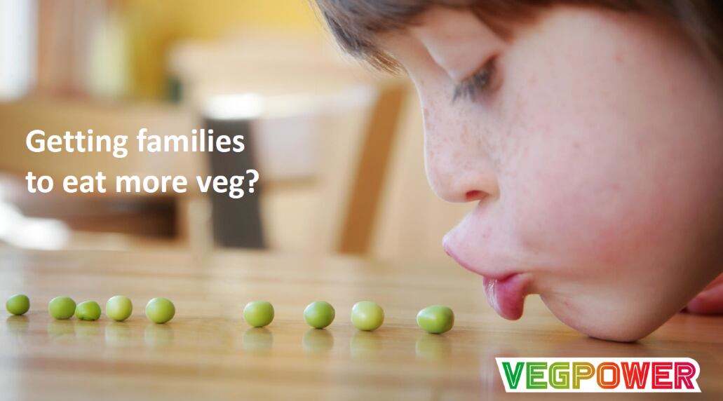 Veg-Power.png